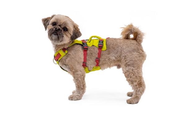 Ruffwear Flagline Harness Lichen Green Gr. XXS